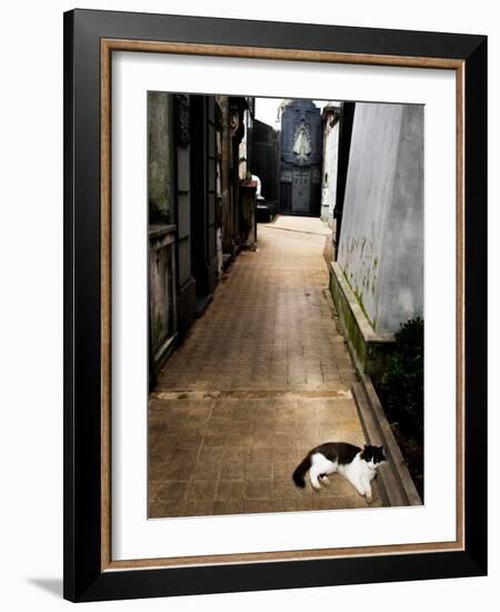 Tristary-Craig Satterlee-Framed Photographic Print