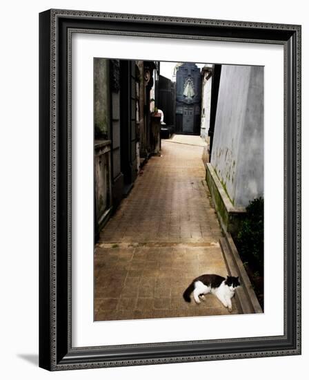 Tristary-Craig Satterlee-Framed Photographic Print