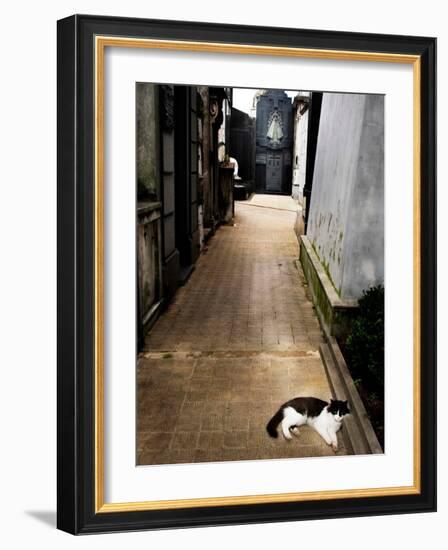 Tristary-Craig Satterlee-Framed Photographic Print