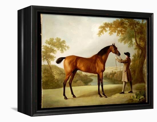 Tristram Shandy, a Bay Racehorse Held by a Groom in an Extensive Landscape, C.1760-George Stubbs-Framed Premier Image Canvas