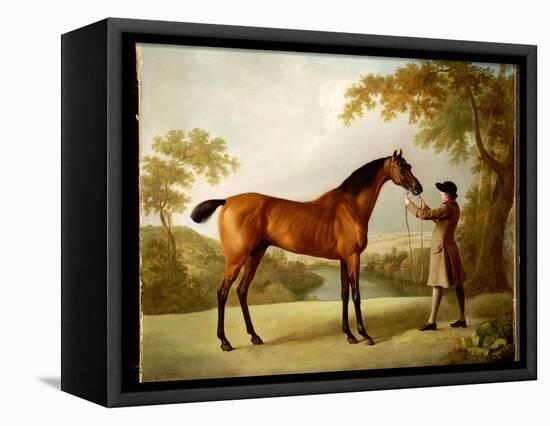 Tristram Shandy, a Bay Racehorse Held by a Groom in an Extensive Landscape, C.1760-George Stubbs-Framed Premier Image Canvas