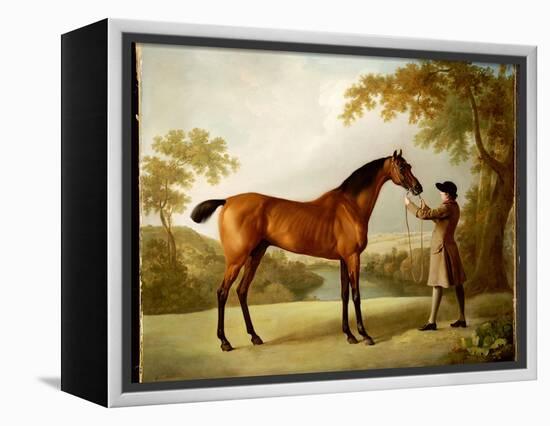 Tristram Shandy, a Bay Racehorse Held by a Groom in an Extensive Landscape, C.1760-George Stubbs-Framed Premier Image Canvas