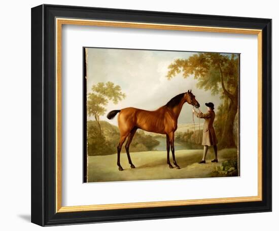 Tristram Shandy, a Bay Racehorse Held by a Groom in an Extensive Landscape, C.1760-George Stubbs-Framed Giclee Print