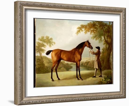 Tristram Shandy, a Bay Racehorse Held by a Groom in an Extensive Landscape, C.1760-George Stubbs-Framed Giclee Print