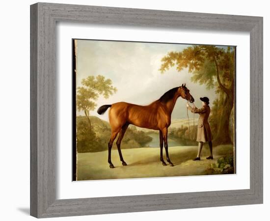 Tristram Shandy, a Bay Racehorse Held by a Groom in an Extensive Landscape, C.1760-George Stubbs-Framed Giclee Print