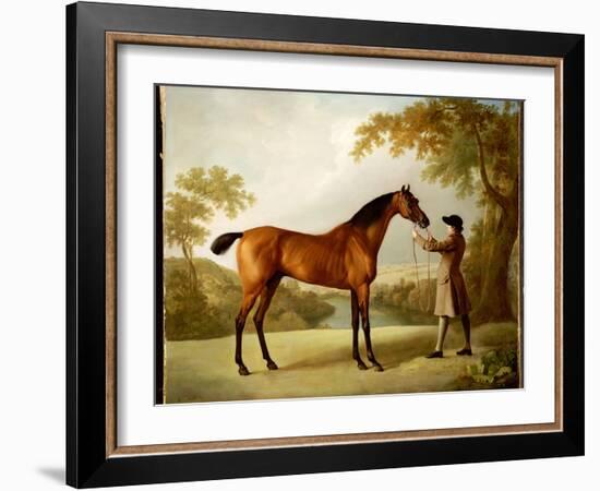 Tristram Shandy, a Bay Racehorse Held by a Groom in an Extensive Landscape, C.1760-George Stubbs-Framed Giclee Print
