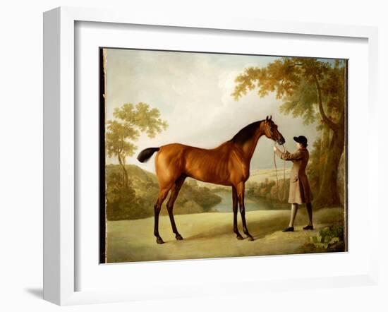 Tristram Shandy, a Bay Racehorse Held by a Groom in an Extensive Landscape, C.1760-George Stubbs-Framed Giclee Print