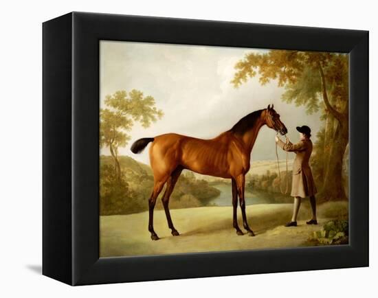 Tristram Shandy, a Bay Racehorse Held by a Groom in an Extensive Landscape, circa 1760-George Stubbs-Framed Premier Image Canvas