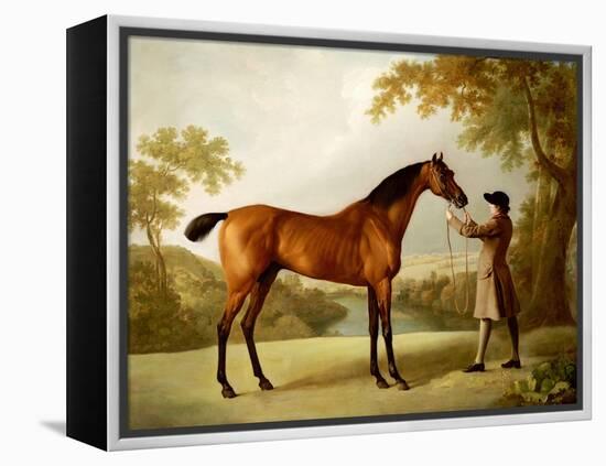 Tristram Shandy, a Bay Racehorse Held by a Groom in an Extensive Landscape, circa 1760-George Stubbs-Framed Premier Image Canvas