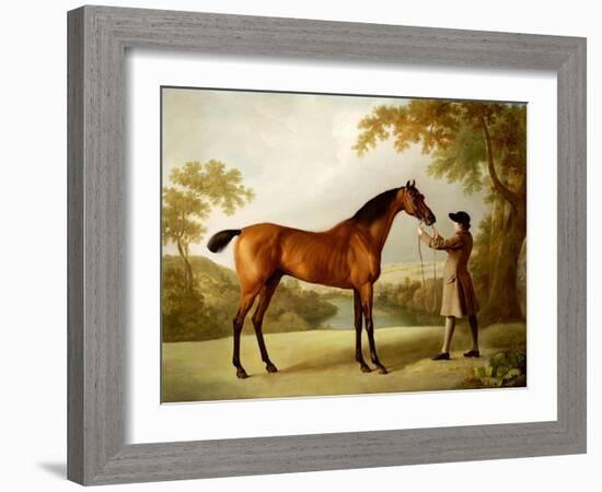 Tristram Shandy, a Bay Racehorse Held by a Groom in an Extensive Landscape, circa 1760-George Stubbs-Framed Giclee Print