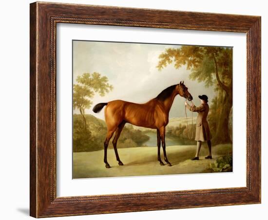 Tristram Shandy, a Bay Racehorse Held by a Groom in an Extensive Landscape, circa 1760-George Stubbs-Framed Giclee Print