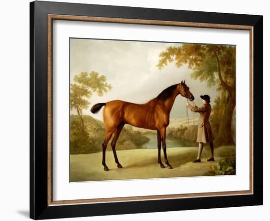 Tristram Shandy, a Bay Racehorse Held by a Groom in an Extensive Landscape, circa 1760-George Stubbs-Framed Giclee Print