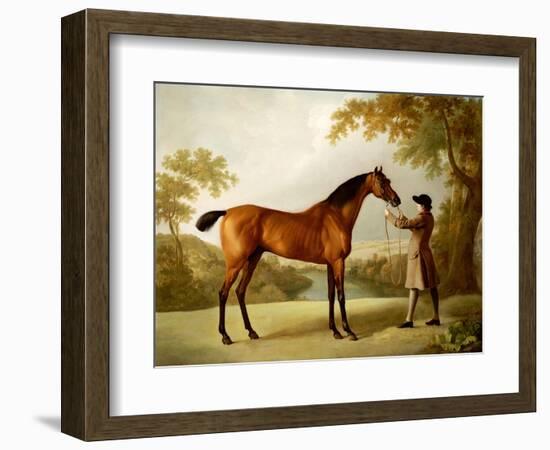 Tristram Shandy, a Bay Racehorse Held by a Groom in an Extensive Landscape, circa 1760-George Stubbs-Framed Giclee Print