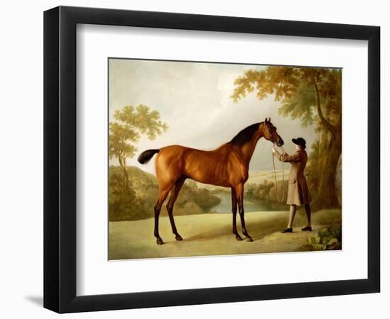 Tristram Shandy, a Bay Racehorse Held by a Groom in an Extensive Landscape, circa 1760-George Stubbs-Framed Giclee Print