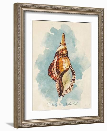 Triton Shell-Lanie Loreth-Framed Art Print