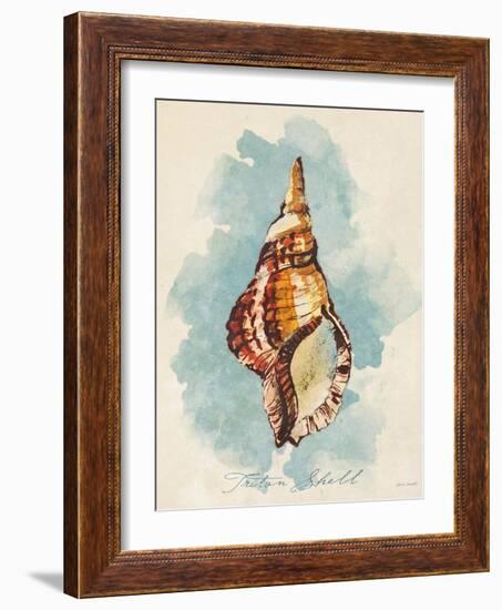 Triton Shell-Lanie Loreth-Framed Art Print