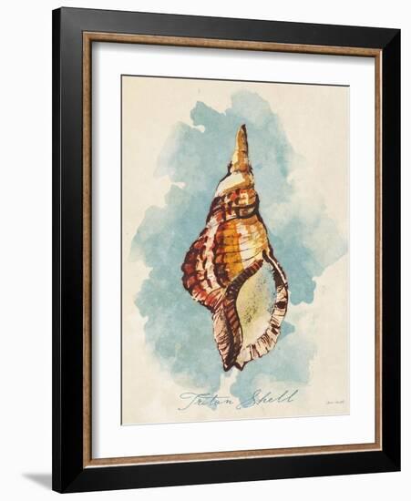 Triton Shell-Lanie Loreth-Framed Art Print