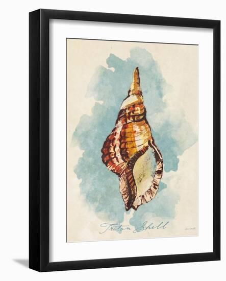 Triton Shell-Lanie Loreth-Framed Art Print