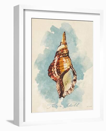 Triton Shell-Lanie Loreth-Framed Art Print