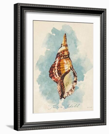 Triton Shell-Lanie Loreth-Framed Art Print