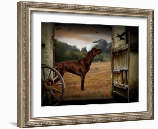 Tritz-Lynne Davies-Framed Photographic Print