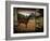 Tritz-Lynne Davies-Framed Photographic Print