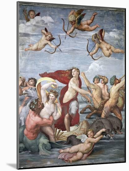 Triumph of Galatea, C. 1512-Raphael-Mounted Giclee Print