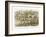 Triumphal March of the Elf King, 1870-Richard Doyle-Framed Giclee Print