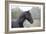 Triunfador X 002-Bob Langrish-Framed Photographic Print