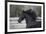 Triunfador X 004-Bob Langrish-Framed Photographic Print