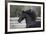 Triunfador X 004-Bob Langrish-Framed Photographic Print