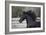 Triunfador X 004-Bob Langrish-Framed Photographic Print