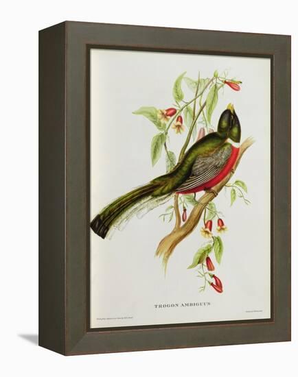 Trogon Ambiguus-John Gould-Framed Premier Image Canvas