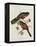 Trogon Collaris-John Gould-Framed Premier Image Canvas