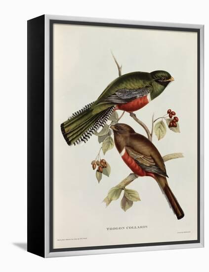 Trogon Collaris-John Gould-Framed Premier Image Canvas