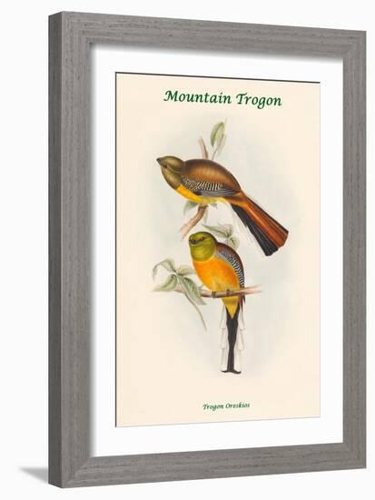 Trogon Oreskios - Mountain Trogon-John Gould-Framed Art Print