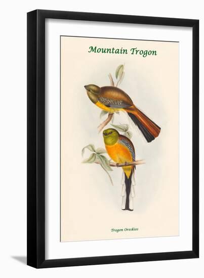 Trogon Oreskios - Mountain Trogon-John Gould-Framed Art Print
