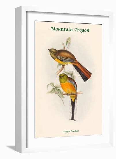 Trogon Oreskios - Mountain Trogon-John Gould-Framed Art Print