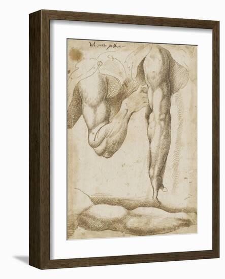 Trois études de bras: un plié, un pendant et un tendu-Bartolomeo Passarotti-Framed Giclee Print