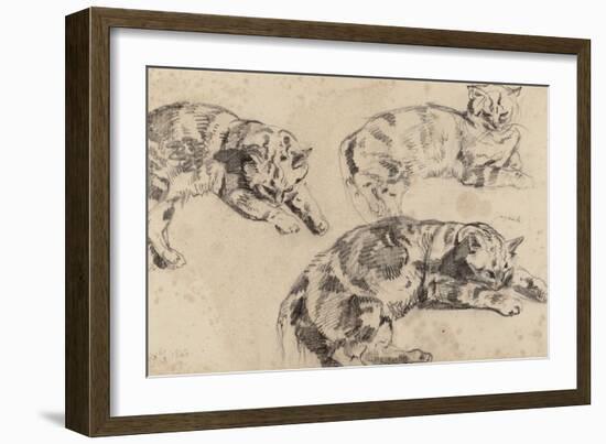 Trois études de chats allongés, la tête vers la droite-Eugene Delacroix-Framed Giclee Print