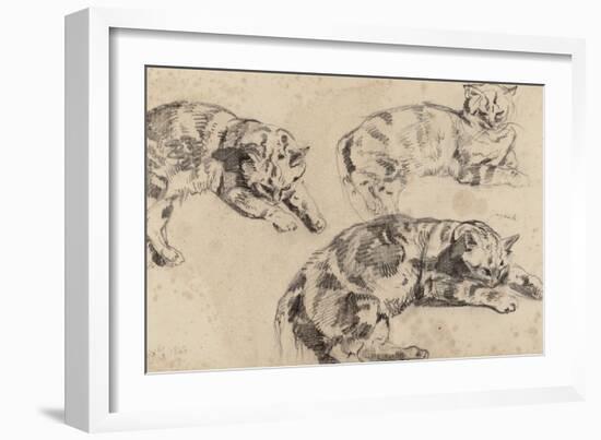 Trois études de chats allongés, la tête vers la droite-Eugene Delacroix-Framed Giclee Print