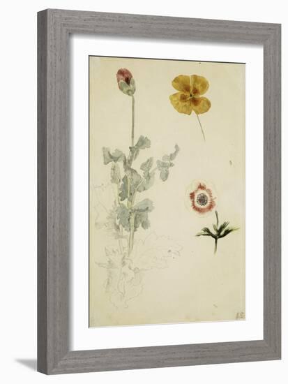 Trois études de fleurs: anémone, pensée, ?; vers 1845-1850-Eugene Delacroix-Framed Giclee Print