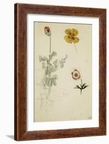 Trois études de fleurs: anémone, pensée, ?; vers 1845-1850-Eugene Delacroix-Framed Giclee Print