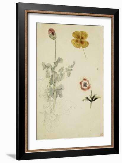 Trois études de fleurs: anémone, pensée, ?; vers 1845-1850-Eugene Delacroix-Framed Giclee Print