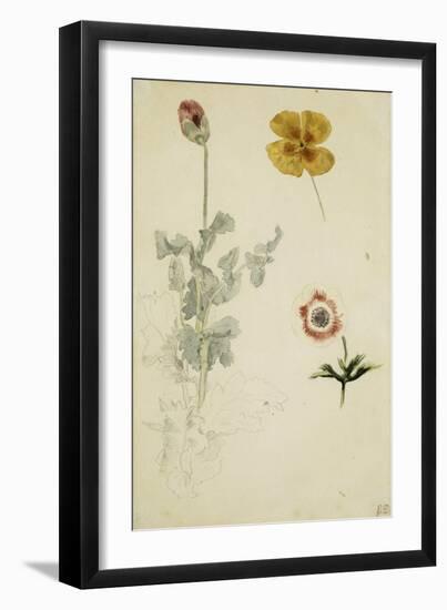 Trois études de fleurs: anémone, pensée, ?; vers 1845-1850-Eugene Delacroix-Framed Giclee Print