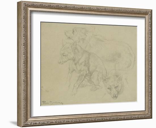 Trois études de loups-Rosa Bonheur-Framed Giclee Print