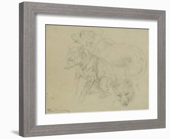 Trois études de loups-Rosa Bonheur-Framed Giclee Print