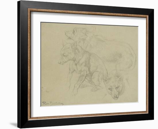 Trois études de loups-Rosa Bonheur-Framed Giclee Print