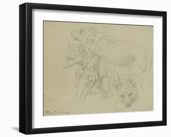 Trois études de loups-Rosa Bonheur-Framed Giclee Print