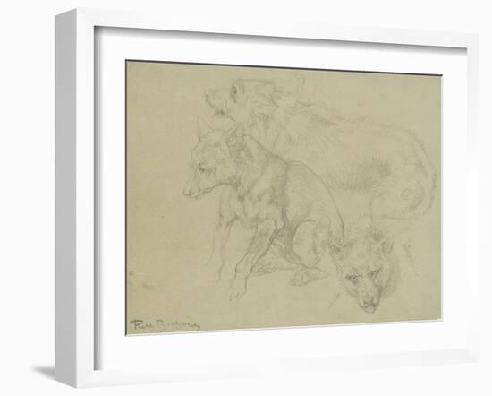 Trois études de loups-Rosa Bonheur-Framed Giclee Print